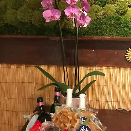 Frühstückspension Balay 2*
